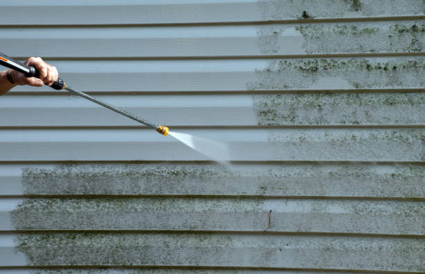 Best Dumpster Area Cleaning  in Gang Mills, NY