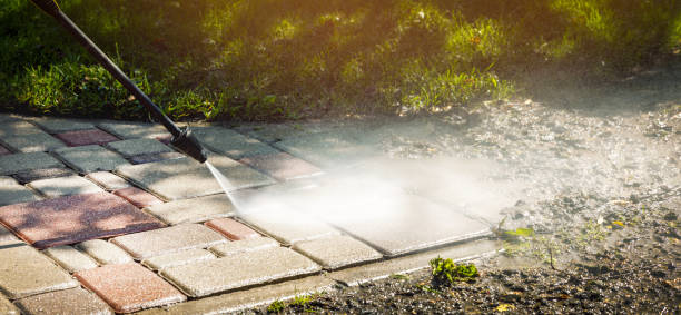 Best Solar Panel Cleaning  in Gang Mills, NY